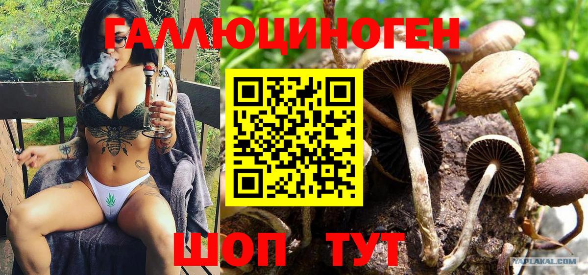 Псилоцибиновые грибы прущие грибы Пыть-Ях